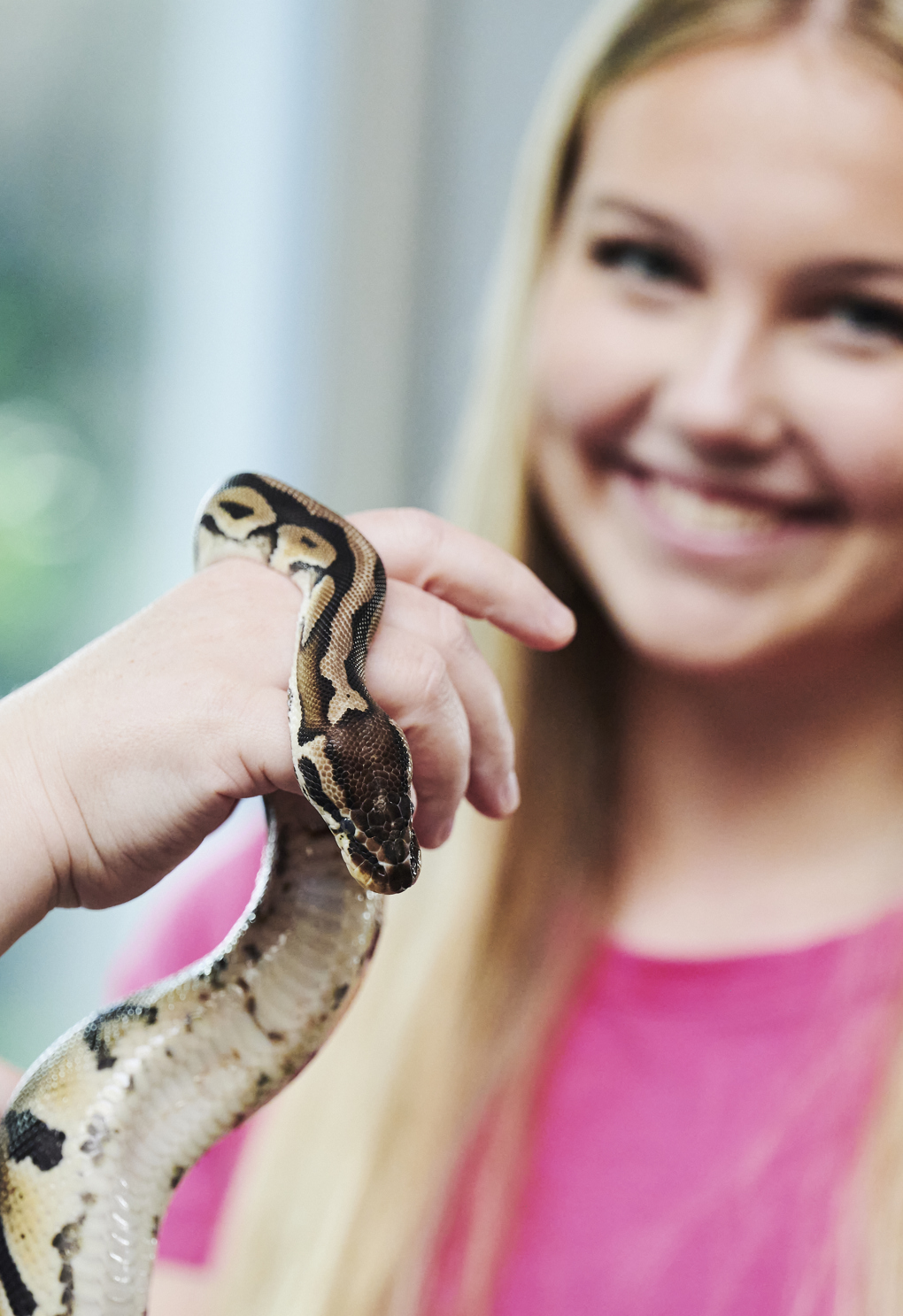 Dyrepasser, elev med slange