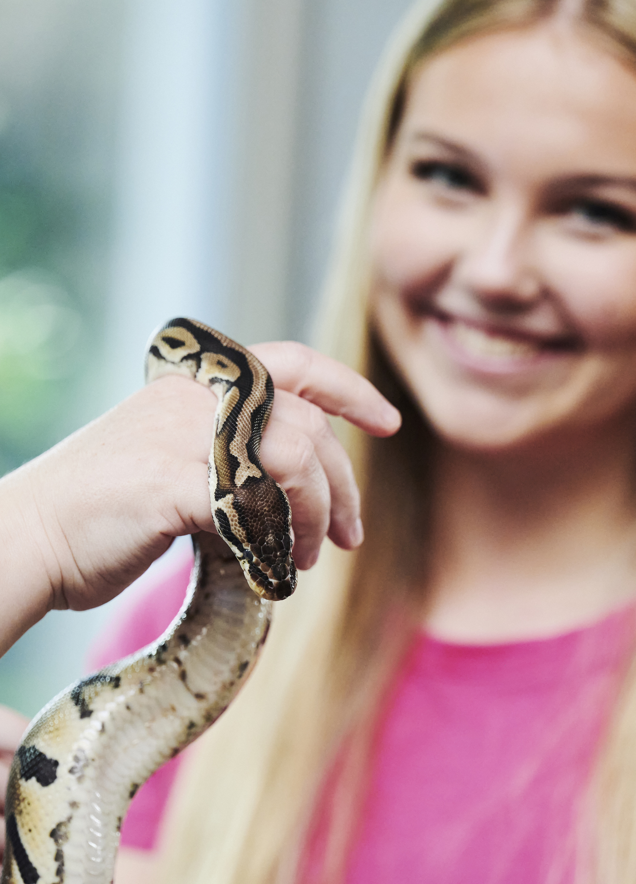 Dyrepasser, elev med slange