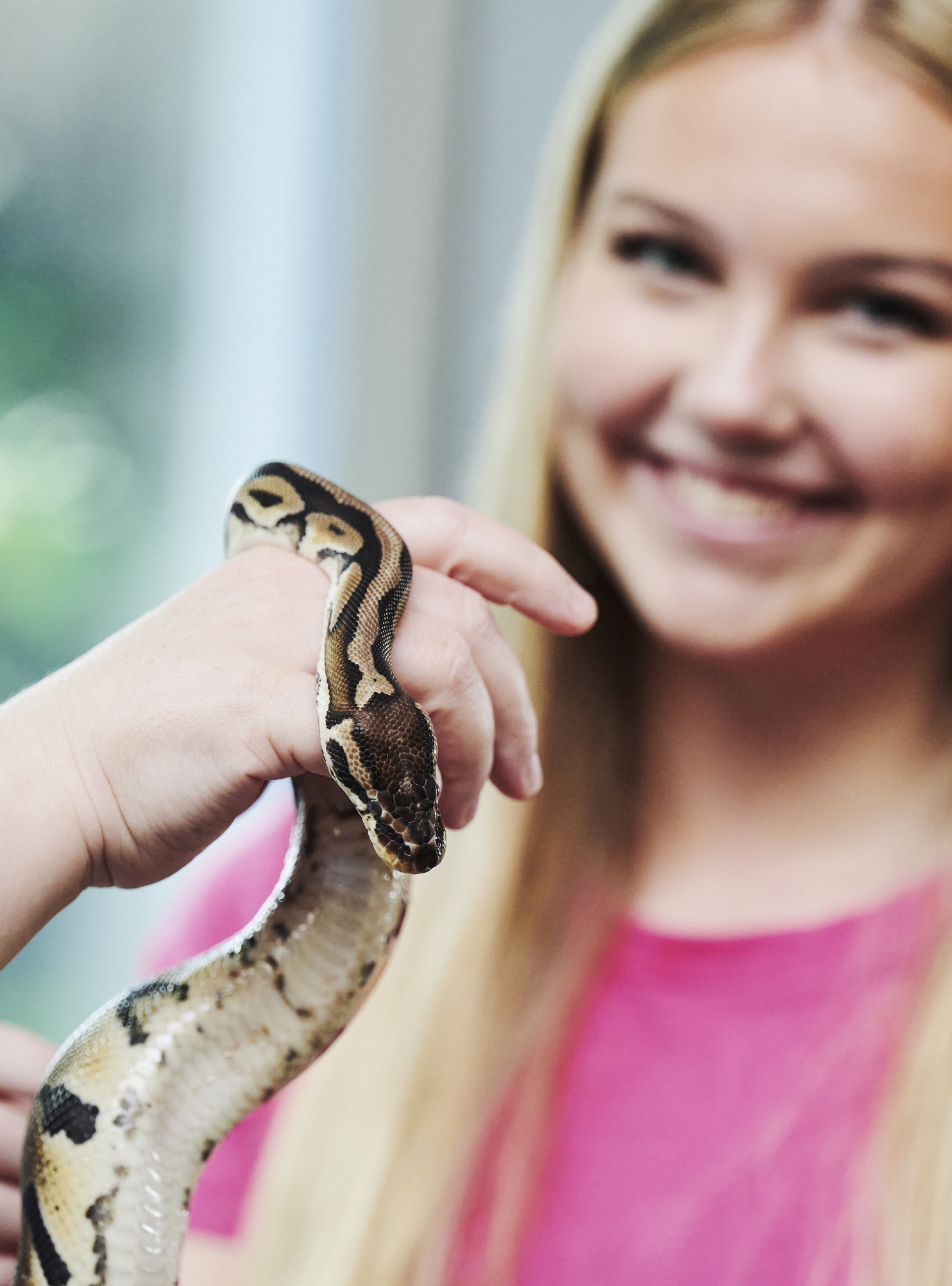 Dyrepasser, elev med slange