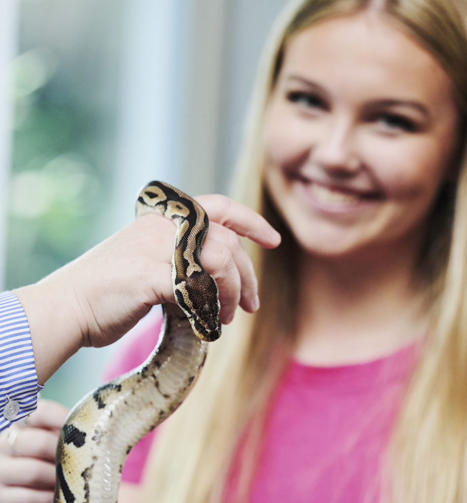 Dyrepasser, elev med slange