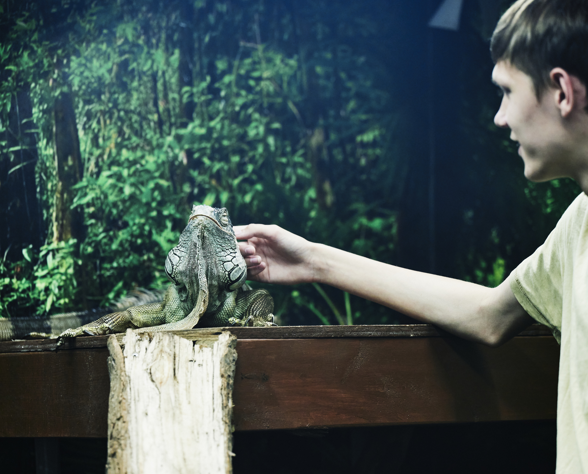 Dyrepasser-elev med øgle 