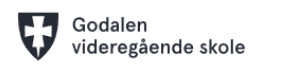 Godalen High School