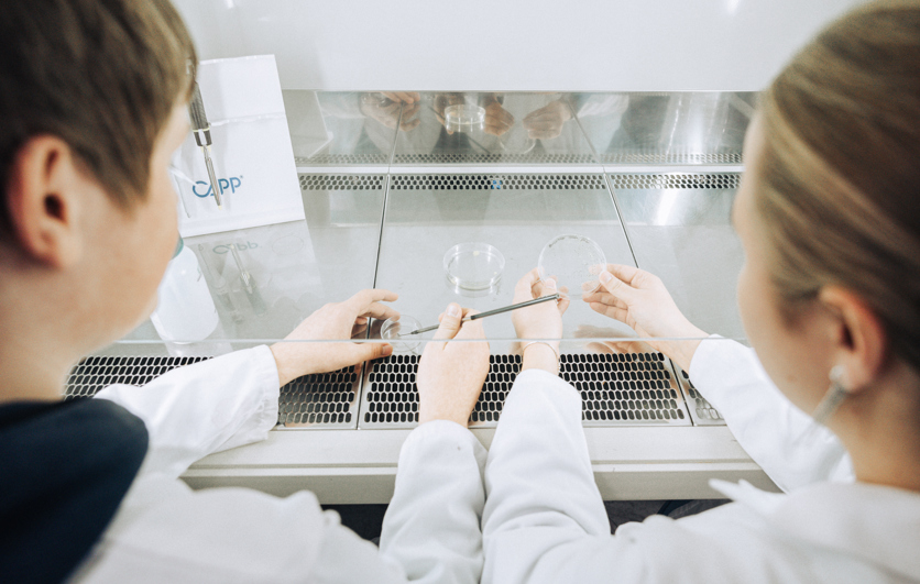 Bioteknologi, elever laver forsøg